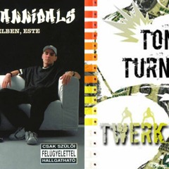 Animal Cannibals vs Tony Turntup - Go Hawaii (Roothouse Mashup) [2016]