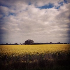 Two Pieces for Piano (Miniature Series)