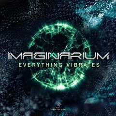 Imaginarium - Everything Vibrate