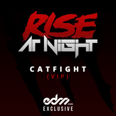 Rise At Night - Catfight (VIP Remix)
