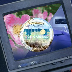 lotusflowers (VCRSLOT 'RGB GARDENS' RMX)