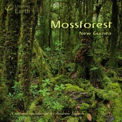 Mossforest - New Guinea: Album Sample