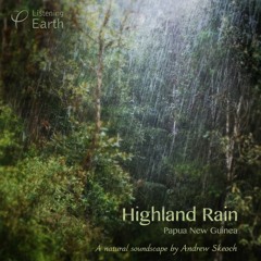 Highland Rain - Papua New Guinea: Album Sample