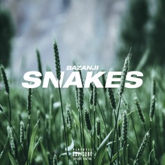 Snakes (Prod. Taylor King)