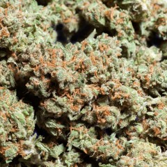 Dead High - Sosa ft. Rodo