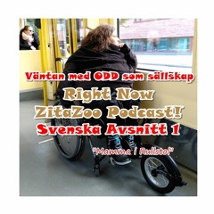Väntan med ODD som sällskap ZitaZooStudio Podcast 1 Svenska