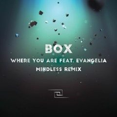 Where You Are (Mindless Remix)