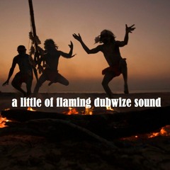A little of flaming dubwize sound