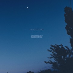 Riversilvers - Destiny