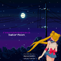 Гнилаялирика - Sailor Moon