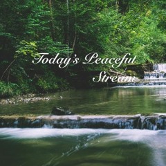 Today's Peaceful Stream