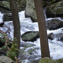 Yellow/Nithua Pathare