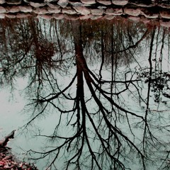 Rip Out The Wings Of A Butterfly (HIM Cover)