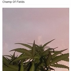 Champ Of Fields
