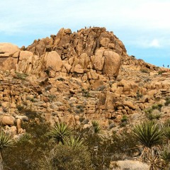 The world finna end homie prod. switchnolliefakie