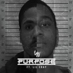 Purpose 4 - 11 Mix