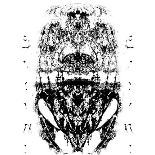 Echo Deal & Olgierd Dokalski - Rehearsal demo (2015)