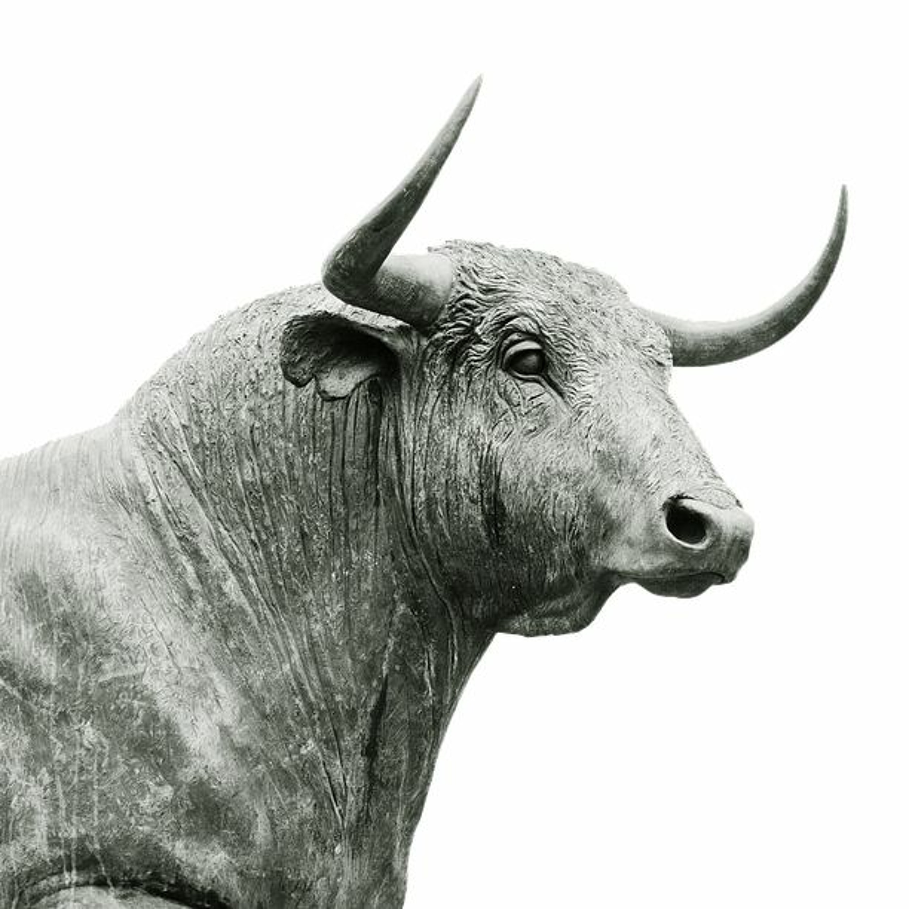 ERB Ep. 24 Part 1: The Bulls are coming and the Worst Player XV episode artwork