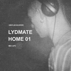 Vinylschleifer LydmateHome01 Mix