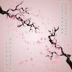zennan & Gerastic - Blossoms (feat. Sebara)