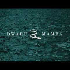 Dwarf mamba-rare