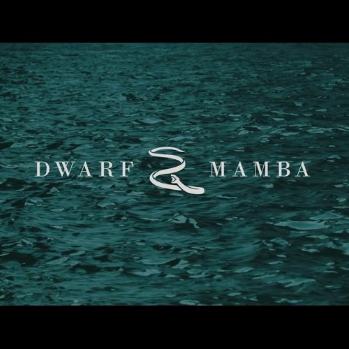 Dwarf mamba-rare