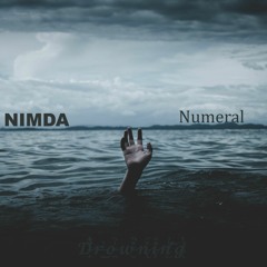 Drowning (feat. NIMDA) [Prod. by Feelo]