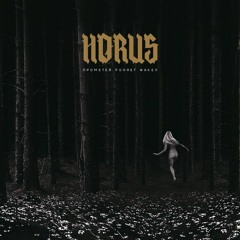 Horus — Гири