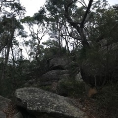 pineal upgrades from Kariong glyphs N.S.W. Australia