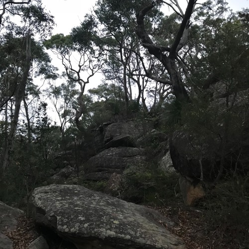 pineal upgrades from Kariong glyphs N.S.W. Australia