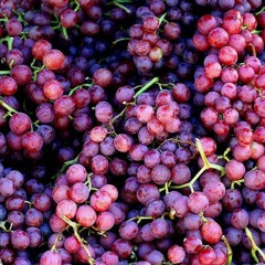 Grapes