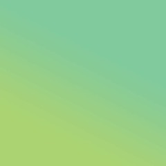 Berburu Kumbang Di Hutan Belakang Sekolah Ketika Libur Musim Panas