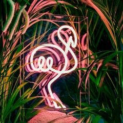 Renni Rucci - Bank Account (PNK LMNDE Remix)