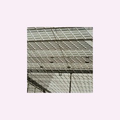 Goodnight Moonlight // Letters To Japan [Single Edit]