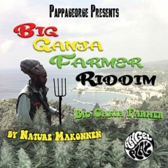 Big Ganja Farmer (Mr.Pilon Remix)