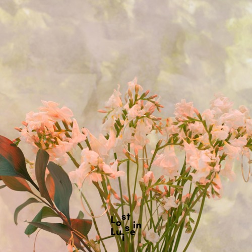 Johannes Ton - Anne's Flute (LIL004)