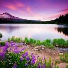 lets sort things out (clip)