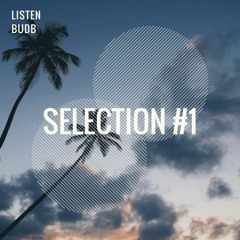 Selection #1