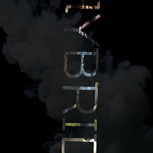 LilSleepy202sWhoRunIt