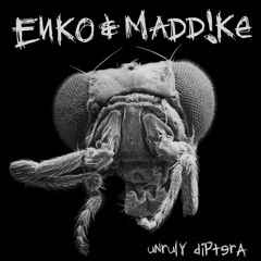 Enko & Maddike - Unruly Diptera