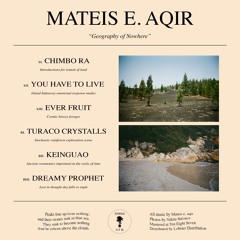 PREMIERE: Mateis e. aqir - You Have To Live [Jungle Gym Recordings]