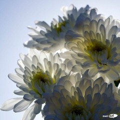 Plans ft. Molly Nicholson (Prod. Hodji)