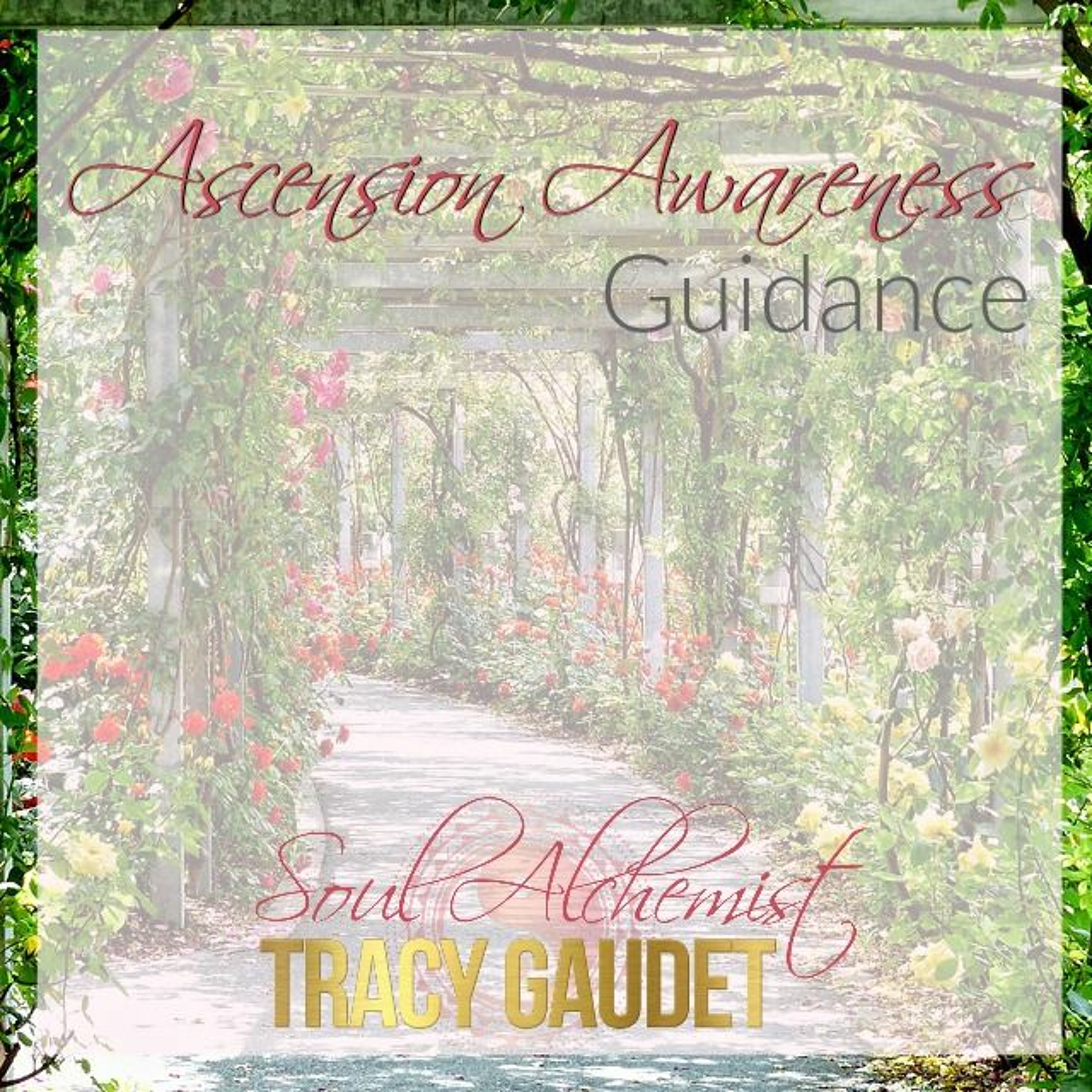 Ascension Alchemy Podcast