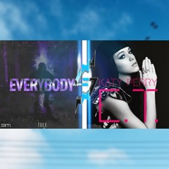 Lost Sky X Katy Perry - Everybody is E.T [⚡ Remix Mashup]