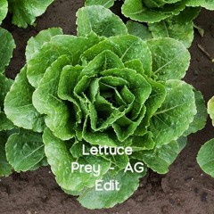 Lettuce Prey - AG Edit - Free D.L