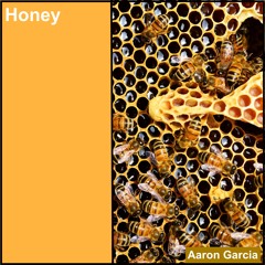 Honey (The Jesus and Mary Chain)