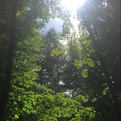 just wanna say one thing