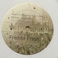 Return To Phantazia (Freddie Fresh) Toolbox Records/Electric Music Foundation Vinyl Out now!!