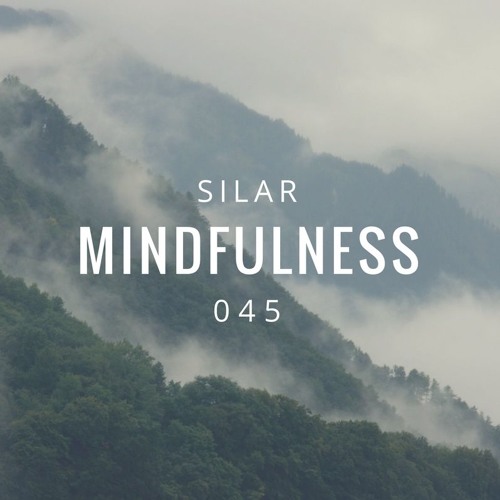 Mindfulness Episode 45