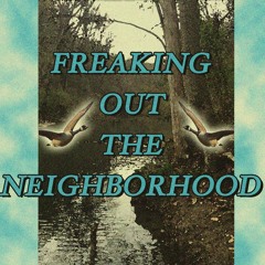 Freaking Out The Neighborhood -(Mac Demarco Cover)
